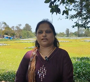 Mahan Rushi Mahant Swami Maharaj - Sanatan Dharma 